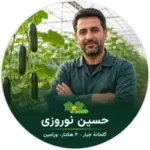 حسین نوروزی