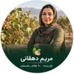 مریم دهقانی