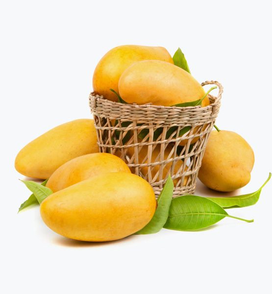 انبه استوایی درجه یک